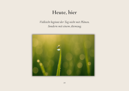 Tropfen auf grünem Gras mit sanftem Licht im Hintergrund.